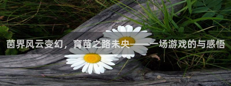 手机版长运娱乐客户端下载