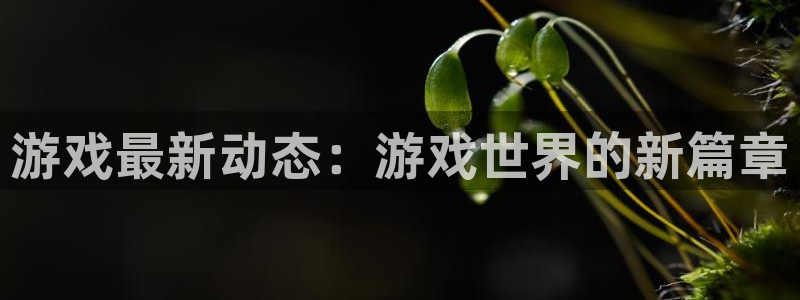 长运娱乐Ii